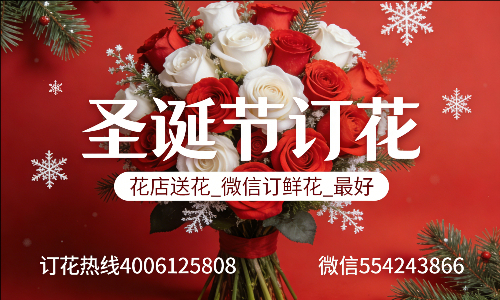���ݴ����ػ���